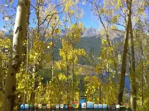 Ein Chromebook zu Linux OS konvertieren