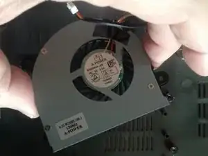 QlR5T4DZvTZm4OCD