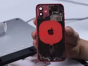 RjEVgOXmmrDtjDUZ