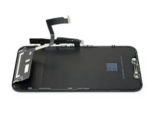 iPhone 11 Display tauschen