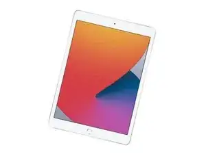 iPad LTE