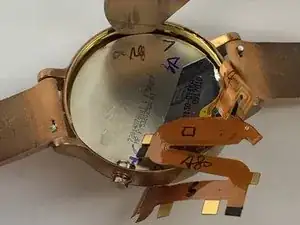 o1YUWV2XoSOy6oW2