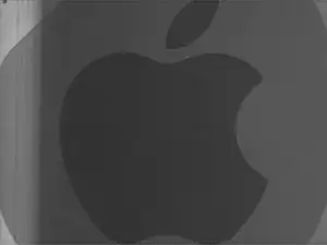 Apple iPhone 6 Teardown by X-ray