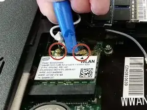 uvXR55WDwSTNmIjR