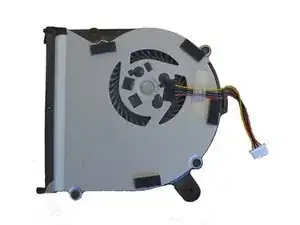 Fan