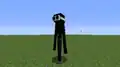 Ein Enderman mit Brille
