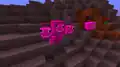Der rosa Wither feuert einen Schädel ab