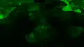 Farbdimension: "green" Dimension