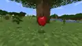 Ein Apfel wurde durch das Verschwinden der Blätterkrone eines gefällten Baumes gedroppt