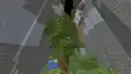 Ein Azaleenbaum in einer Schlucht.
