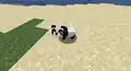 Ein kleiner Panda schaut einen Spieler an.