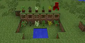 Offizieller Screenshot von Mojang zu den in der Vollversion 1.7 (13w43a) hinzugefügten Setzlingen (Akaziensetzling und Schwarzeichensetzling).