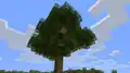 Eine große Eiche vor Vollversion 1.3.2.