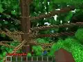 Innenansicht eines Baums aus dem Skript Forester