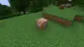 Der erste Screenshot des Befehlsblocks.