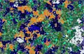Die Biomverteilung im aktuellen Weltgenerator.