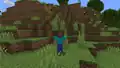 Sein Skin im Spiel