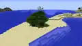 Ein kleines Stück dichter Wald wurde inselartig am Strand erzeugt