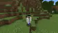 Sein Skin in Minecraft