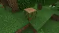 Ein einzelner Stamm in einem Wald.