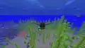 Der Spieler gleitet unter Wasser.