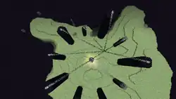 Die vier Enderkristalle haben bereits sieben Kristalle auf den Obsidiansäulen aktiviert und wenden sich gerade dem achten zu.