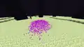 Der Enderdrache hat eine Wolke Drachenatem ausgespien