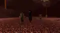 Das erste Bild eines im Nether gespawnten Enderman.