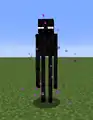 Partikel eines Endermans