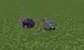 Endermilbe und Silberfischchen beieinander