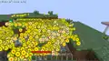Gedroppte Erfahrungskugeln nach einem Tod in Beta 1.8 (Beta 1.8-pre1). Dies führte mitunter zu großen Performance-Problemen.