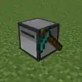Eine Farming Turtle