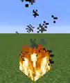 Partikel des Feuers