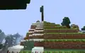 Ein Baum, der an der Biomgrenze geteilt wurde.