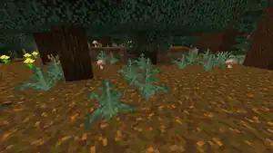 Farn in einem Wald.