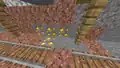 Golderz in der Wand eines Minengangs