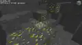 Eine Golderzader in einer Höhle.
