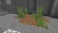 Gras auf Erde in einer Schlucht.