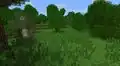 Notchs Vorschau vom Gras.