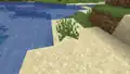 Gras auf Sand