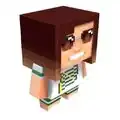 Ihr Mojang-Avatar