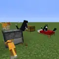 Katzen setzen sich auf Öfen, Betten und Truhen
