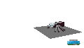 Der Angriff der Knochenspinne