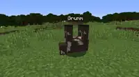 Eine umgedrehte Kuh mit dem Namen „Grumm“
