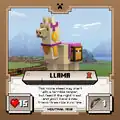 Lama