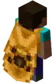 MineCon 2019 Teilnehmer Cape.