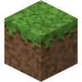Gras