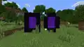 Normales Portal (links), vereinfachte Version (rechts).