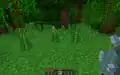 Ein Ozelot wird vom Spieler mit rohem Fisch angelockt