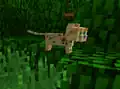 Ein seltener Babyozelot